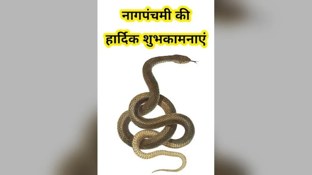 नागपंचमी की हार्दिक शुभकामनाएं! इस त्योहार के लिए खास वॉलपेपर और स्टेटस यहाँ देखें।