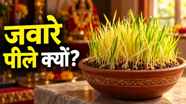 सांकेतिक AI चित्र: जवारों के रंग और बढ़त को भविष्य का प्रमाण न मानें।