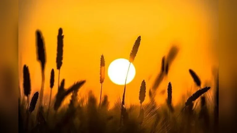 सुबह की कुछ अच्छी आदतें | Subah ki adaten