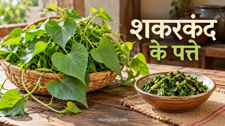 शकरकंद के पत्ते और पका साग — प्रतिनिधि AI चित्र, पौधे की पहचान का प्रमाण नहीं।