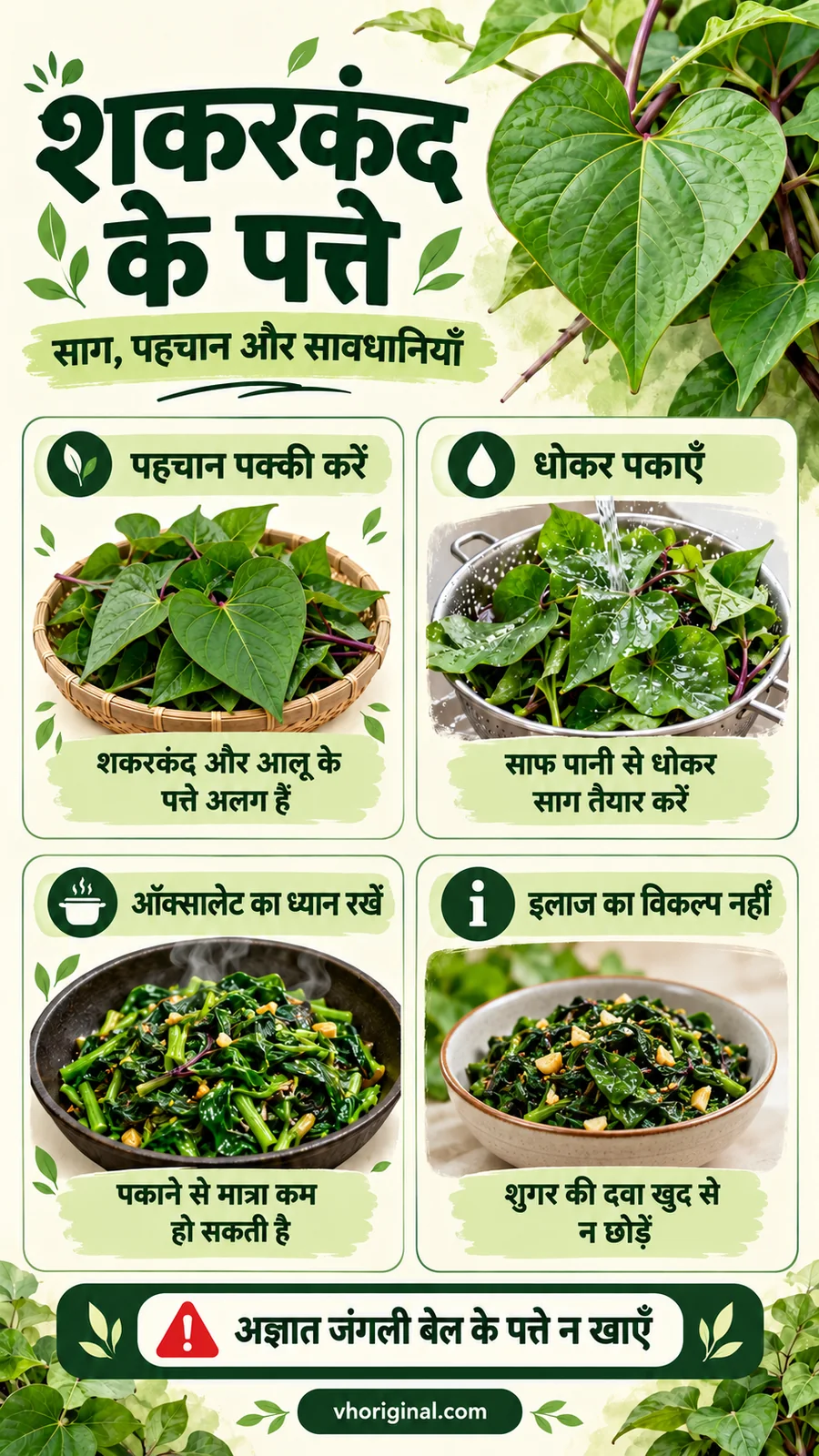 शकरकंद के पत्ते खाने के फायदे और साग की सावधानियों का हिंदी पोस्टर